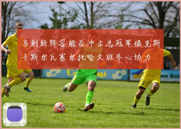 马刺新阵容能否冲击总冠军福克斯卡斯尔瓦塞尔托哈文班齐心协力