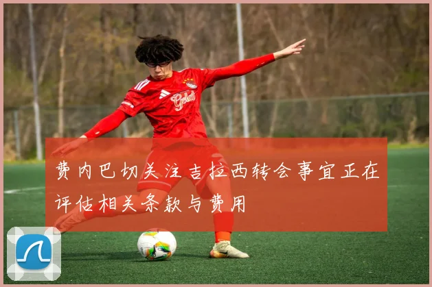 费内巴切关注吉拉西转会事宜正在评估相关条款与费用